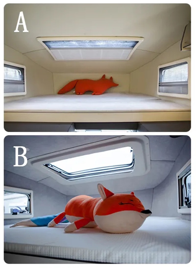 哪款自由炮和您更般配? 哪款自由炮和您更般配?